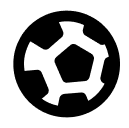 sports ic
